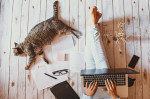 Offerte ADSL: panoramica promo di Agosto 2017 Offerte ADSL: panoramica promo di Agosto 2017