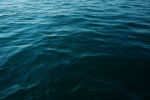 Un cavo internet attraverso l'Oceano Atlantico Un cavo internet attraverso l'Oceano Atlantico