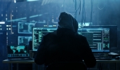 Cybertruffe in Italia: nel 2021 i casi sono aumentati del 27% Cybertruffe in Italia: nel 2021 i casi sono aumentati del 27%