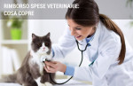 Rimborso spese veterinarie: tutto quello che c'è da sapere Rimborso spese veterinarie: tutto quello che c'è da sapere