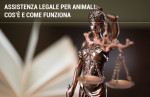 AIDAA: assistenza legale per animali domestici AIDAA: assistenza legale per animali domestici