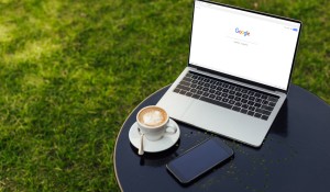 Vita green: ecco cosa cercano gli italiani su Google Vita green: ecco cosa cercano gli italiani su Google