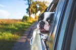 Le migliori assicurazioni auto di luglio 2019 per chi ha l'RCA in scadenza Le migliori assicurazioni auto di luglio 2019 per chi ha l'RCA in scadenza