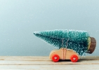 Come trasportare l'albero di Natale in auto secondo il Codice della Strada Come trasportare l'albero di Natale in auto secondo il Codice della Strada