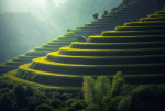 Viaggiare in Asia assicurati: le offerte di inizio 2020 Viaggiare in Asia assicurati: le offerte di inizio 2020