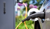 Le auto elettriche avranno una targa verde: ecco a cosa serve Le auto elettriche avranno una targa verde: ecco a cosa serve