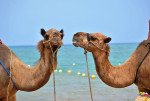 Consigli di viaggio per il Marocco: luoghi, cibo e assicurazione viaggio Consigli di viaggio per il Marocco: luoghi, cibo e assicurazione viaggio