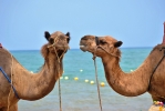 Consigli di viaggio per il Marocco: luoghi, cibo e assicurazione viaggio Consigli di viaggio per il Marocco: luoghi, cibo e assicurazione viaggio