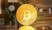 Bitcoin: ad Agosto supera i 50.000 dollari, prima volta in 3 mesi, poi cala a 47 Bitcoin: ad Agosto supera i 50.000 dollari, prima volta in 3 mesi, poi cala a 47