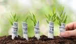 Come trovare il miglior conto deposito di Febbraio 2020 Come trovare il miglior conto deposito di Febbraio 2020