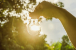 Migliore tariffa luce: monoraria o bioraria? Migliore tariffa luce: monoraria o bioraria?