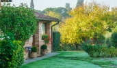 Bonus verde: estese al 2021 detrazioni giardini e balconi Bonus verde: estese al 2021 detrazioni giardini e balconi