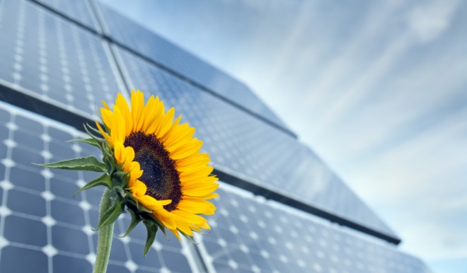 Energia solare dai campi agricoli: ENEA lancia la prima rete nazionale per l'agrivoltaico sostenibile