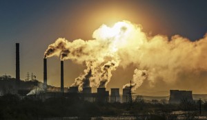 Tasse green: solo l'1% reinvestito per l'ambiente Tasse green: solo l'1% reinvestito per l'ambiente