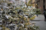 Dpcm Natale: ecco cosa si potrà fare nel periodo delle feste Dpcm Natale: ecco cosa si potrà fare nel periodo delle feste