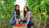 Al via i mutui a tasso zero a favore dell’imprenditoria agricola femminile Al via i mutui a tasso zero a favore dell’imprenditoria agricola femminile