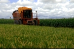 60 milioni di euro dalla Regione Veneto per i giovani imprenditori agricoli 60 milioni di euro dalla Regione Veneto per i giovani imprenditori agricoli