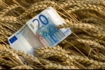 Consolidamento debiti: agevolazioni dalla Regione Veneto per il settore agricolo Consolidamento debiti: agevolazioni dalla Regione Veneto per il settore agricolo
