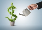 Tutti i migliori finanziamenti Findomestic di Dicembre 2021 Tutti i migliori finanziamenti Findomestic di Dicembre 2021