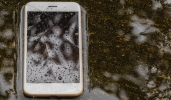 Telefono caduto in acqua: cosa fare? Telefono caduto in acqua: cosa fare?