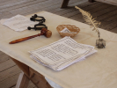 Avvocati: polizze obbligatorie dall’11 ottobre