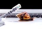 Che diritti ho se la linea Adsl va in down? Che diritti ho se la linea Adsl va in down?